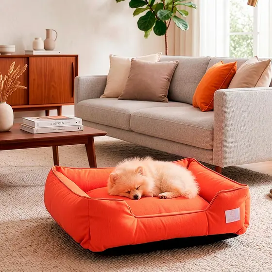 Cama de Cachorro 100% Impermeável com Proteção UV Caminha Pet Pandora Várias Cores e Tamanhos