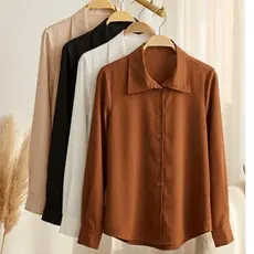 Camisa Feminina Elegante de Botão Nao Amassa em 4 Cores: Do Trabalho ao Casual