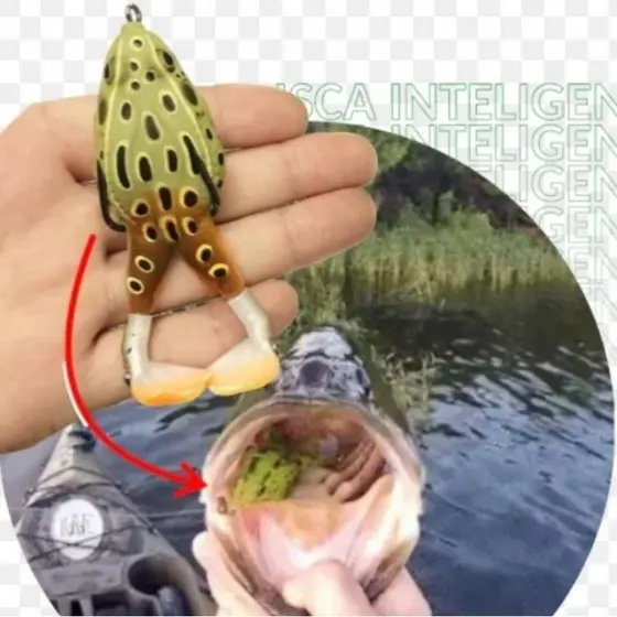Isca artificial flog para traíra e dourado isca sapinho isca rã profissional com Elice nas patinhas isca anti enrosco nado realístico e resistente , ótima combinação de cor e nado perfeito envio rápido e bem embalado