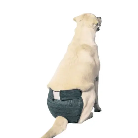 Calcinha Protetora de Fralda Fêmeas Pet Designer Cinza Tam 4