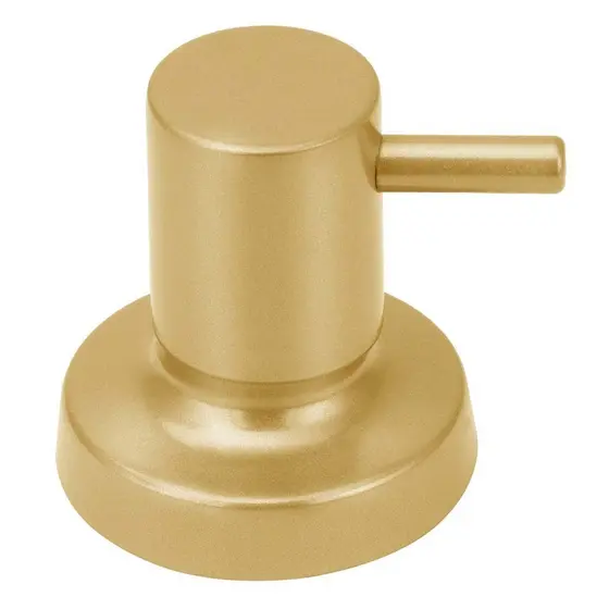 Acabamento Registro Dourada Gold Metal Padrão Deca 3/4