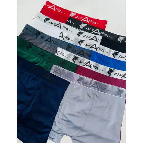 KIT 5 CUECAS BOXER ADULTO MASCULINA LISA 5 CUECA BOX ADULTO MICROFIBRA LISA ALCATEIA