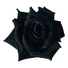 Flor Rosa Preta Veludo Aveludada ParaCabelo Acessório Cigano