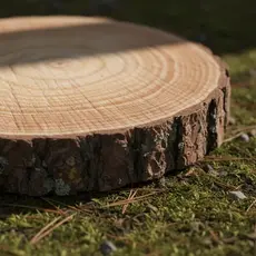 BOLACHA DE MADEIRA REFLORESTADA 25 a 30CM DECORAÇÃO RÚSTICA ARTESANATO FESTA JARDIM