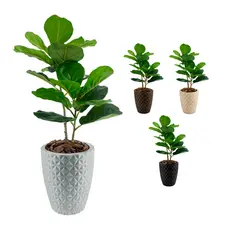 Vaso Polietileno + Planta Artificial Ficus Lyrata Follhas Grande Decoracao Jardim