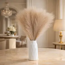 Capim Dos Pampas 5 unidades Decoração Loja Vaso Moderna Rustica Luxo