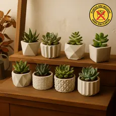 Kit 8 Unidades Vaso Decorativo de Gesso Texturizado Para Suculentas, Cactus e Plantas Artificiais ou Naturais cor Branco