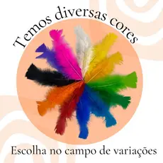 Penas Coloridas 200 und Artesanato Pena de Galinha