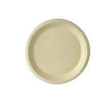 Prato Papel Biodegradável em Bagaço de Cana - 10 un -  18 cm - Silver Festas
