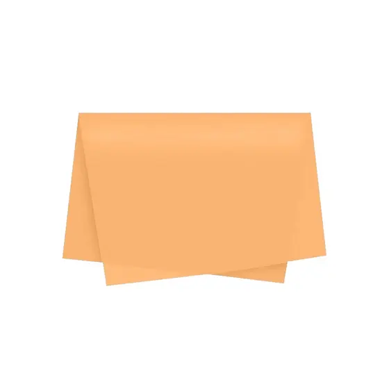 Papel de Seda - 50x70 - Bege Escuro - 10 unidades - Rizzo