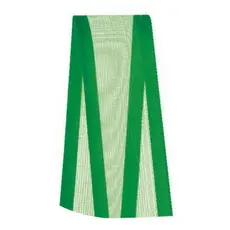 Fita Voal com Cetim Progresso 22mm nº5 - 10m Cor 217 Verde Bandeira - 01 unidade