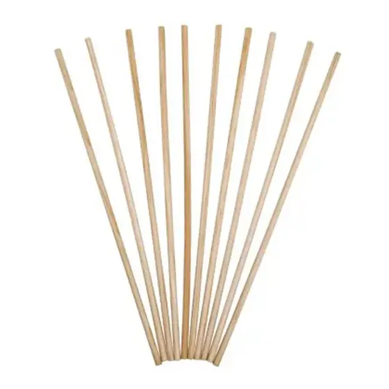 Palito para Aromatizador - Claro - 20cm - 20 unidades - Rizzo