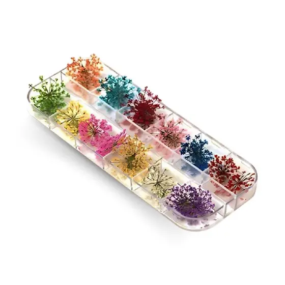 Flores Secas para Decoração e Encapsulamento de Unhas Gel Nail Art Unhas de Gel Alongamento Manicure Nail Designer