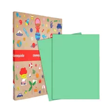 100Fls Cartolina Verde 120gr 50x66cm - Chamequinho Chamex