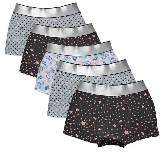 Kit 5 Cuecas Boxer Feminina Calcinha Microfibra Forro Algodão | 511