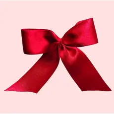 Laço de Cetim 6,5x6,5 cm – Pacote com 40 Unidades para Artesanato e Personalização