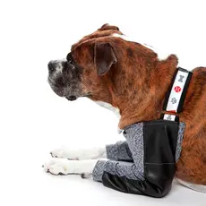 Roupa Protetora Cotoveleira Higroma Para Cães Pet Med