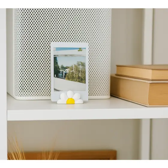✨  kit com 10 Porta-Retratos Polaroid com Suporte Margarida 🌼 ✨