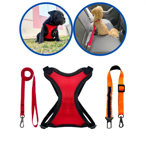 Kit coleira peitoral colete + cinto de segurança anti impacto para cães gatos