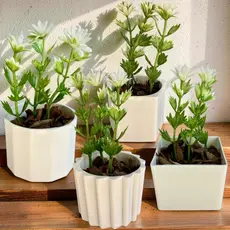 Conjunto de 4 Arranjos com Plantinhas Artificiais - Decoração Charmosa para seu Espaço