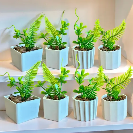 Kit 8 Vasinhos Decoração com Plantinhas