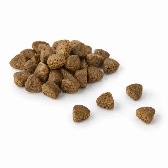 Drops - salmão 100g petisco de treino natural para cães e gatos Lecker Petiscos
