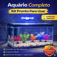 Aquário Completo 40x20x25cm com Bomba e Decoração | Pronto para Usar