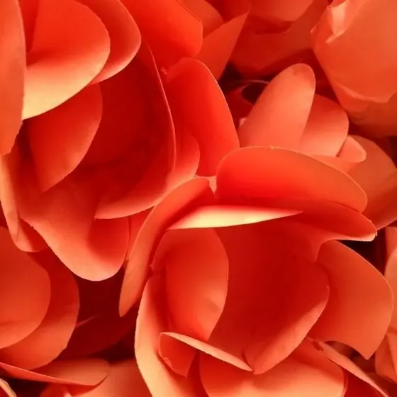 Forminhas Para Doces, Casamentos, Aniversários, Festas - Modelo  HB  50 Unidades!!!