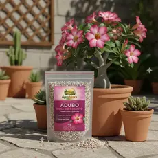Adubo e fertilizante Para Rosa do Deserto Premium AgroMaxx
