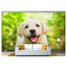 papel de parede Animais Cachorro Filhote 3D 6m² ANM202