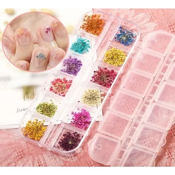 12 Cores Flores Secas para Unhas Nail Art Encapsulada Decoração Gel Acrílico