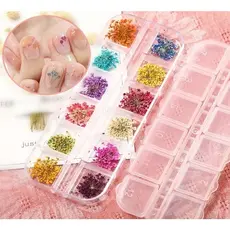 12 Cores Flores Secas para Unhas Nail Art Encapsulada Decoração Gel Acrílico