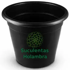 Kit 10 Vasos Redondos Preto Terracota Marrom M 5.5 L Horta Planta Casa Jardim Mudas