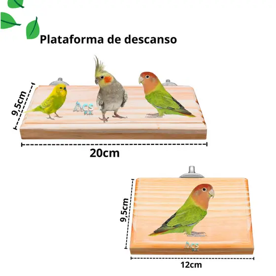 Kit Poleiro Plataforma de descanso Para Calopsita, Periquito