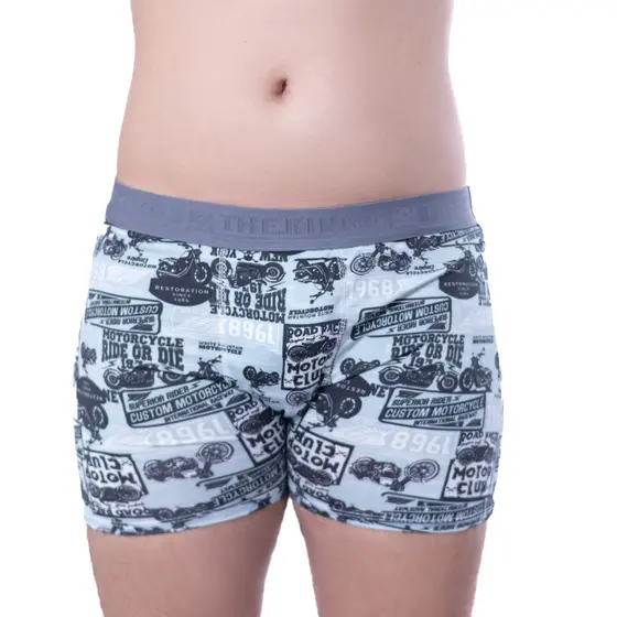 Kit 10 Cueca Box Boxer Adulto Microfibra Forro Algodão Direto da Fabrica