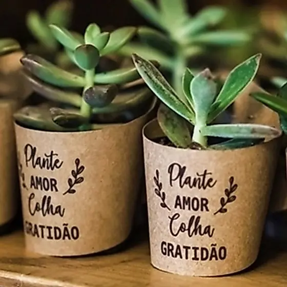 Rótulos e Tags POTE 9 Personalizados para Lembrancinhas - casamento aniversário formatura batizado