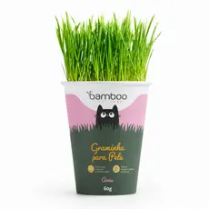 Graminha Para Gatos Vaso Bamboo Aveia Natural 60g Digestiva Antibolas De Pelo Pet Saudável