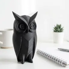 Coruja Decorativa Minimalista para Sala, Escritório, Estante, Mesa e Decoração