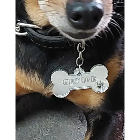 Pingente De Coleira Cachorro Gato Personalizado Acrílico 3mm