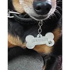 Pingente De Coleira Cachorro Gato Personalizado Acrílico 3mm