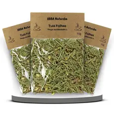 3 Pacotes Chá de Folhas Tuia-Puro Thuja