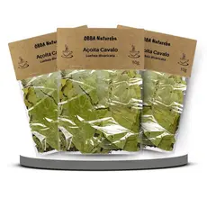 Kit 3 Chá de Açoita Cavalo-Legítimo Luehea divaricata