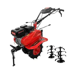 Microtrator Motocultivador 7hp 208cc Gasolina com Enxada Rotativa