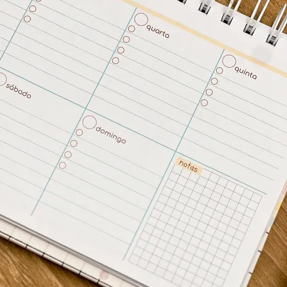 Planner Duo - Agenda Mensal e semanal - Permanente