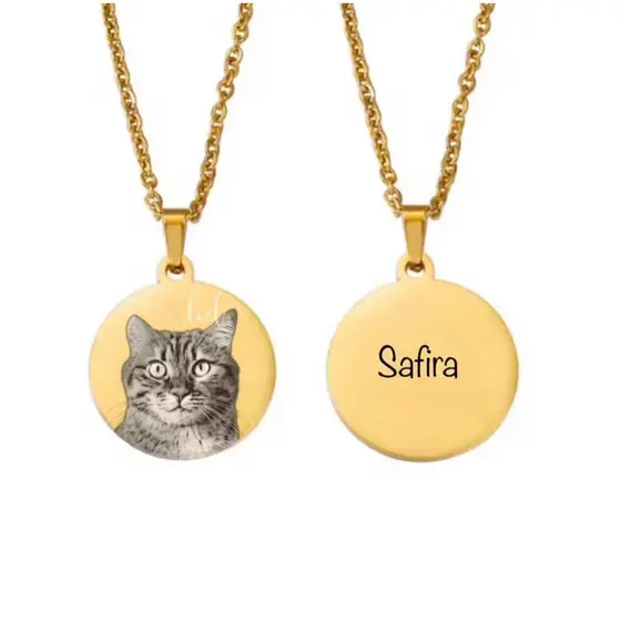 Colar Medalha Personalizada Pet Frente Verso Aço Presente Gato Cachorro