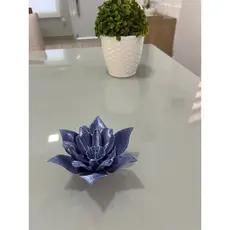 Flor Decoração para sua casa