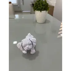 Shih Tzu dog cachorro Articulado