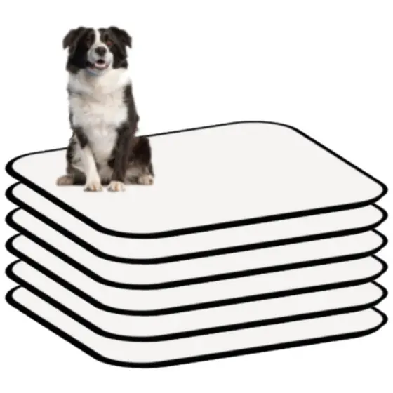 Kit 6 Tapetes Internos Lavável Para Cães - Casa Sem Xixi 100x70