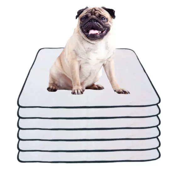 Kit 6 Tapetes Internos Lavável Para Cães - Casa Sem Xixi 50x35