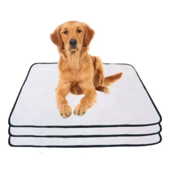 Kit 3 Tapetes Internos Lavável Para Cães - Casa Sem Xixi 70x50